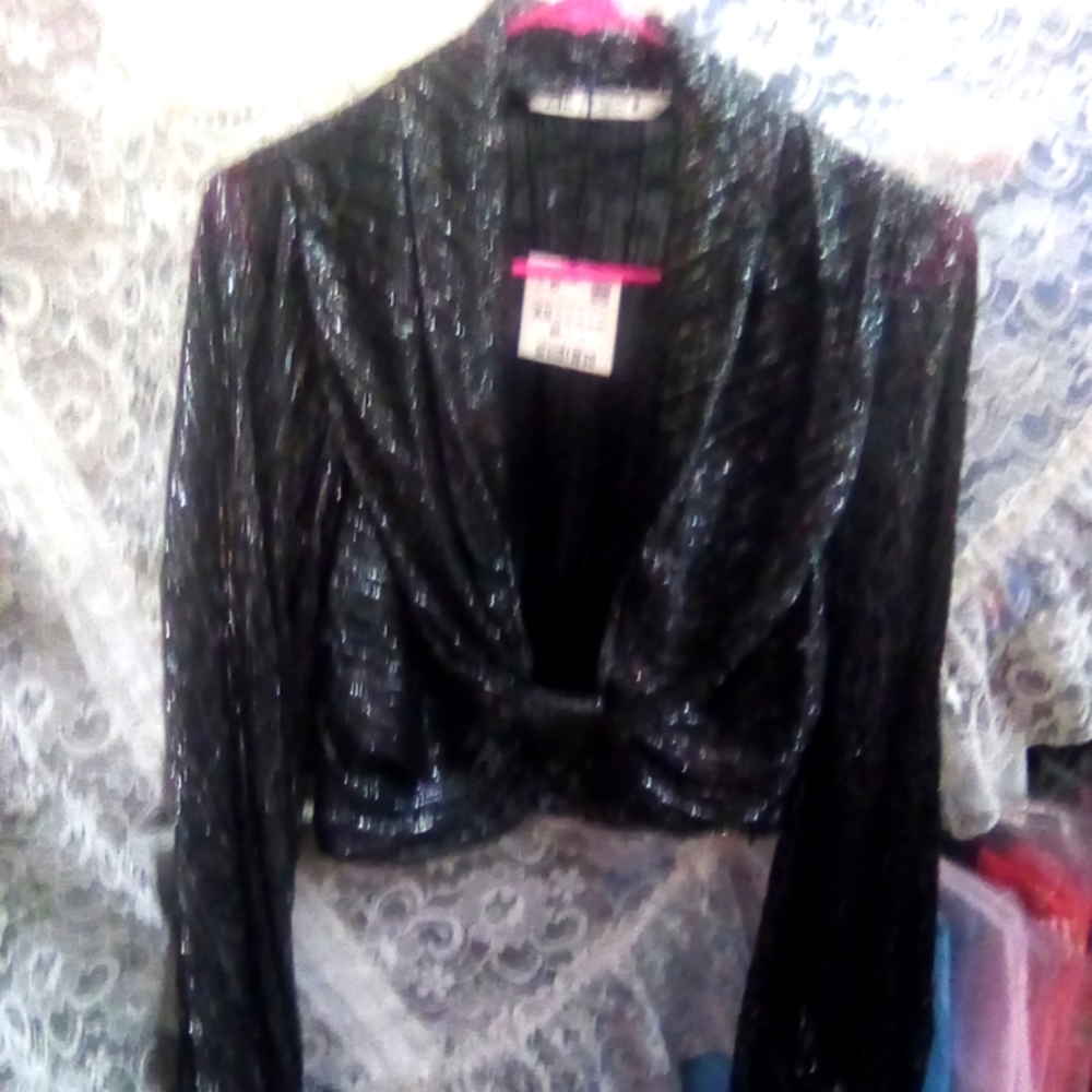 Zara Silver Methallic Long Sleeves Crop Top. NEW with TAG. SIZE XS.